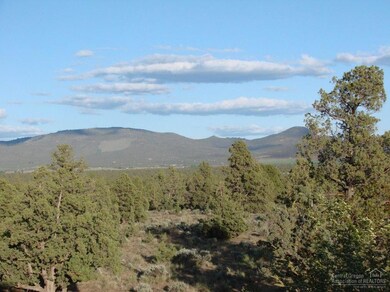 4709 SE Sunny Sage Way, Redmond, OR 97756 - photo 7