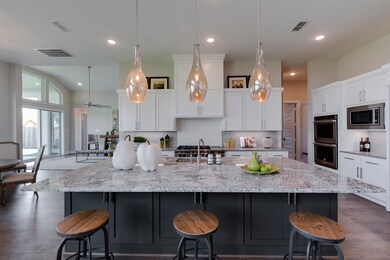 27910 Skyhaven Ln, Fulshear, TX 77441 - photo 5