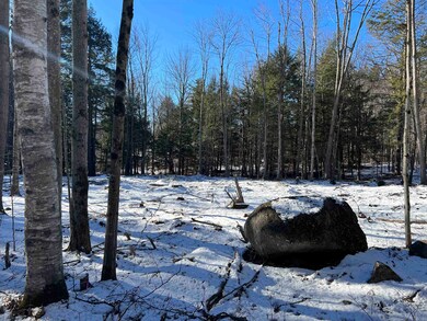 31 & 32 Lakeview Dr, Weare, NH 03281 - photo 2