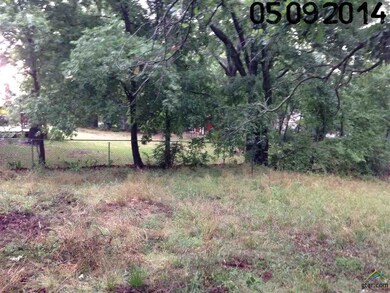 1506 Milam Dr, Tyler, TX 75701 - photo 6