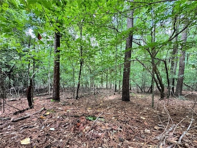 127 Creek View Dr, Seneca, SC 29678 - photo 6