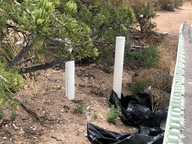 00 Fontaine Rd, Fort Garland, CO 81133 - photo 4