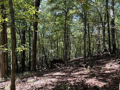 This 1.47 acre lot is in Bent Tree, Jasper, GA.  This lot sits close to the back gate, and will have seasonal views once the lot is cleared for building. This lot will lend well to a basement floor plan.