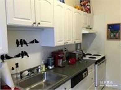 395 Harvard St unit 1, Brookline, MA 02446 - photo 6