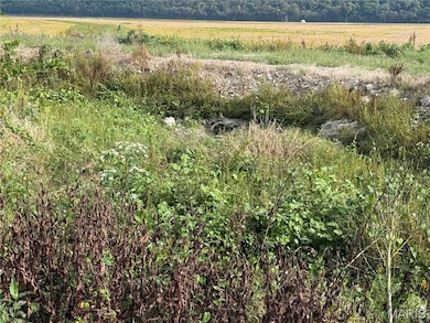 Tract 2 00 Bluff Rd, Prairie Du Rocher, IL 62277 - photo 7