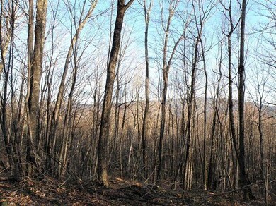 0 Weeks Rd, Warren, NH 03279 - photo 5