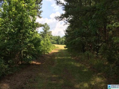 0 Spunky Hollow Rd unit 18.7 acres +/-, Remlap, AL 35133 - photo 2