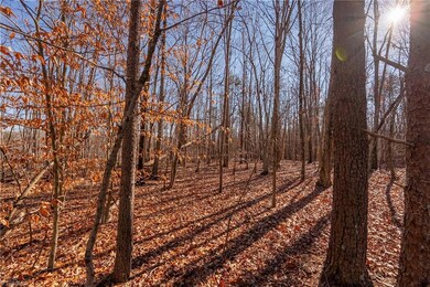 0 Brown Rd, King, NC 27021 - photo 5