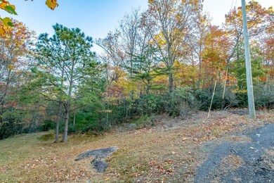 Moonlight Ln, Fancy Gap, VA 24328 - photo 7