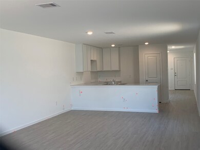 28910 Texas Plains Dr, Hockley, TX 77447 - photo 2