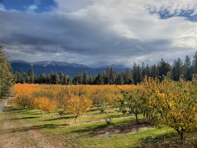 32624 S Finley Point Rd, Polson, MT 59860 - photo 4