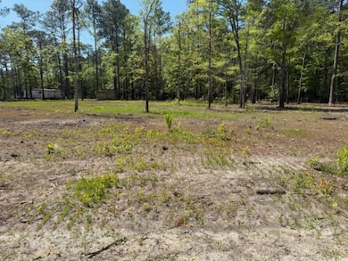 TBD Johnson Rd, Georgetown, SC 29440 - photo 5