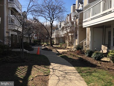 4550 28th Rd S unit D, Arlington, VA 22206 - photo 3