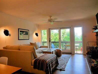 157 Sap Bucket Cir unit A4BL, Peru, VT 05152 - photo 7