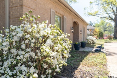 2906 Old Bullard Rd, Tyler, TX 75701 - photo 3