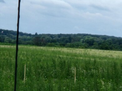 503 W North Rd, Cadott, WI 54727 - photo 2