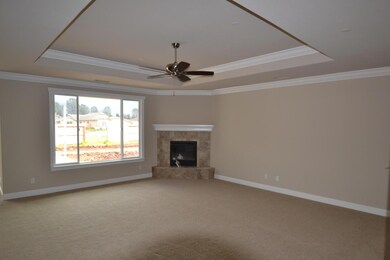Gas Fireplace