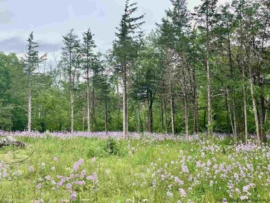 2015 Berme Rd, Kerhonkson, NY 12446 - photo 5