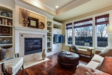 004-photo-living-room-6586730