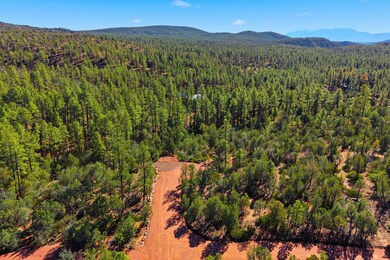 0 Fawn Dr unit 93199, Pine, AZ 85544 - photo 6