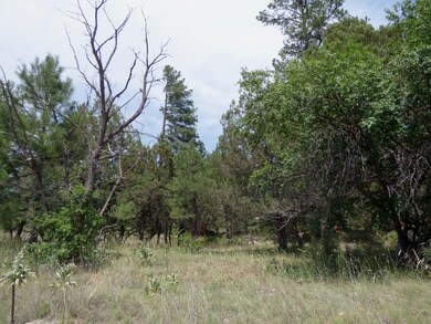 East side of property