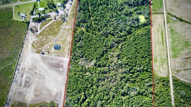 00 Elizabeth Church Rd, Hazlehurst, GA 31539 - photo 4