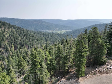 Lot 28 Clear Nite Rd, Cloudcroft, NM 88317 - photo 2