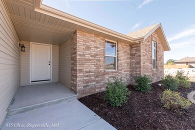 615 Olive, Rogersville, MO-3