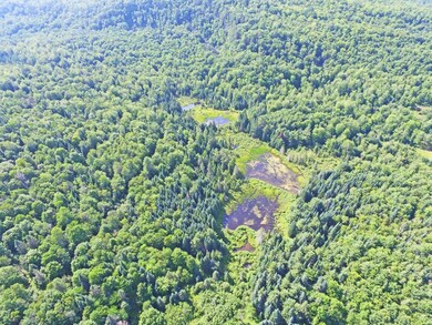 4776 Duck Pond Rd, Saint Johnsbury, VT 05819 - photo 7