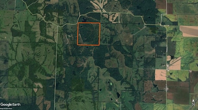 16459 State Highway J, Elmer, MO 63538 - photo 2