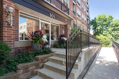 301 Oak Grove St unit 205, Minneapolis, MN 55403 - photo 2