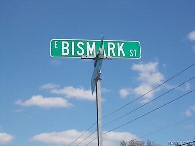 813 E Bismark St, Hernando, FL 34442 - photo 4