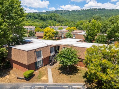2024_07_July_900_Mountain_Creek_Rd_0002