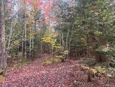 TBD Norlund Rd, Ironwood, MI 49938 - photo 4