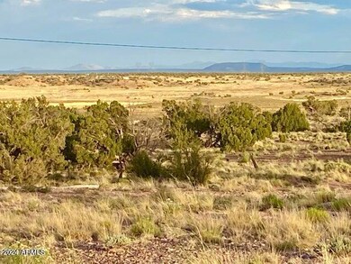 5467 Dusty Rd, Snowflake, AZ 85937 - photo 2