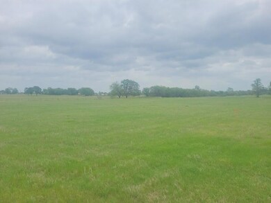 196 County Road 3340, Paradise, TX 76073 - photo 5