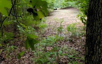 00 Oak View Trail, Cleveland, GA 30528 - photo 3