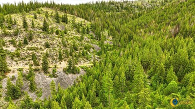 0 W Combest Creek Rd, Plains, MT 59859 - photo 7