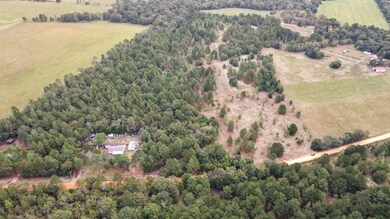dji_fly_20240916_105226_917_172649837061