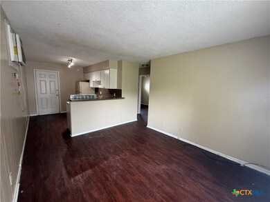 1243 N Lbj Dr unit A, San Marcos, TX 78666 - photo 2