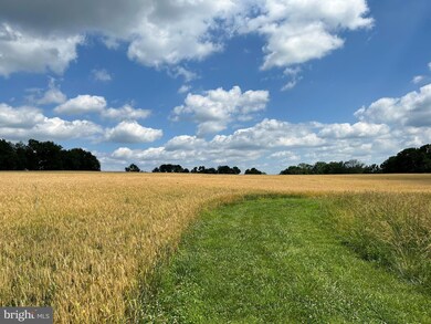 323 Stoney Knoll Ln, Berwyn, PA 19312 - photo 3