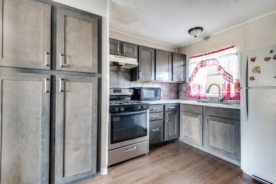 930 Shawnee Trace, Grand Prairie, TX 75051 - photo 2