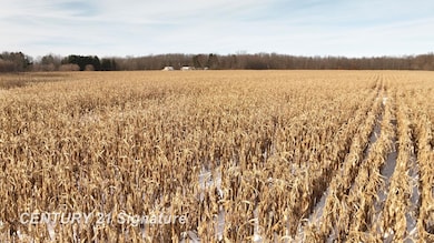 00 VL W Dodge Rd, Clio, MI 48420 - photo 7