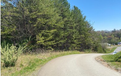 Additional View