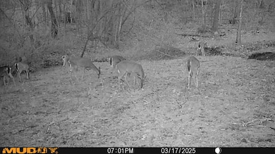 2025-06-17_21-16-23_050