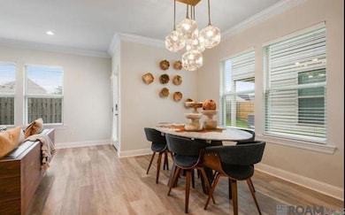 7925 Pisa Dr, Baton Rouge, LA 70820 - photo 4