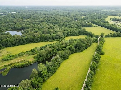 299 W Mount Pleasant Zachary Rd, Zachary, LA 70791 - photo 3