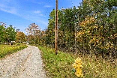 22_335_wallace_dr_sony_012