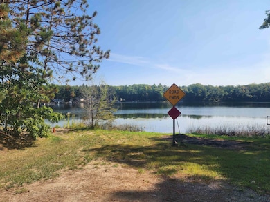 3143 Forest Rd, Harrison, MI 48625 - photo 4