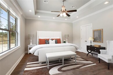 Master suite with tray ceilings, walk in closet an